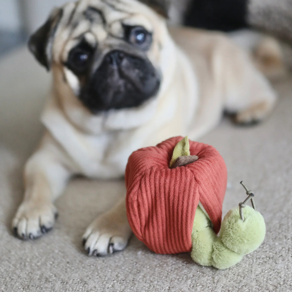 Lambwolf APPLE and CATERPILLAR with Crinkly and Burrow Pet Toy at Garian Hong Kong