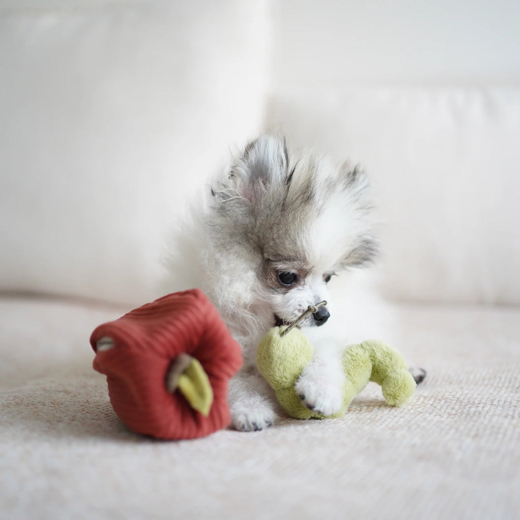 Lambwolf APPLE and CATERPILLAR with Crinkly and Burrow Pet Toy at Garian Hong Kong