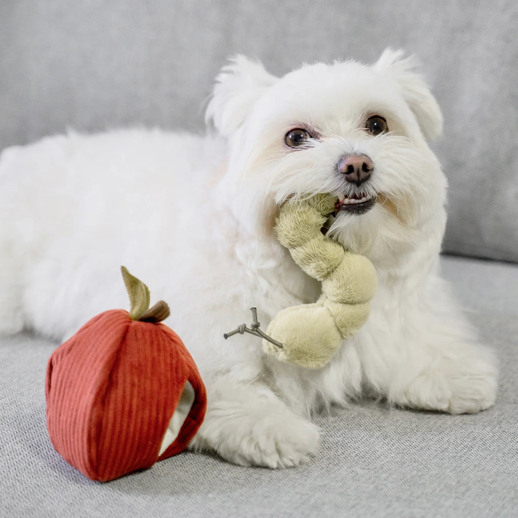 Lambwolf APPLE and CATERPILLAR with Crinkly and Burrow Pet Toy at Garian Hong Kong