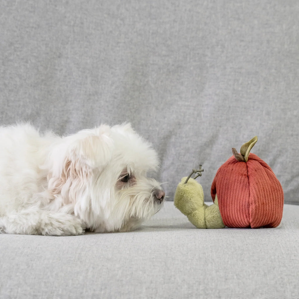 Lambwolf APPLE and CATERPILLAR with Crinkly and Burrow Pet Toy at Garian Hong Kong