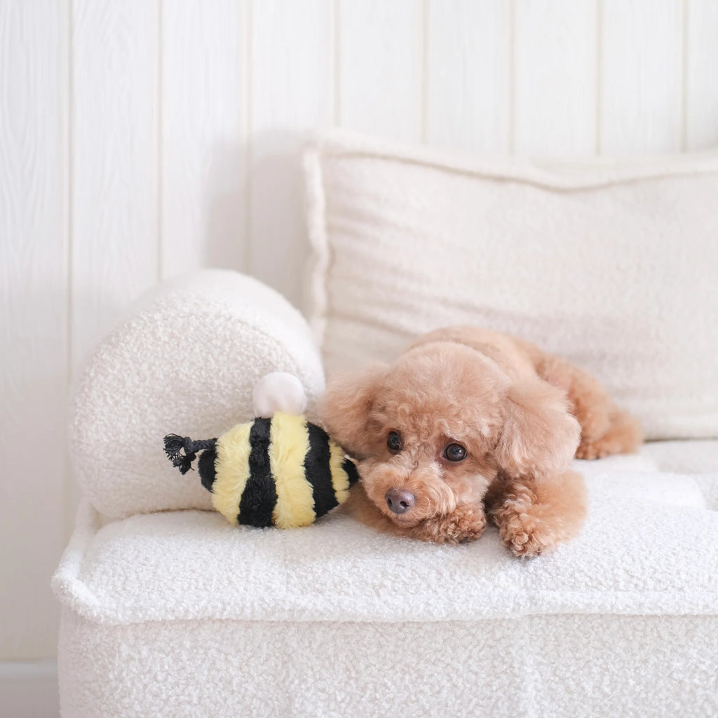 Lambwolf BEE POP with Bouncy and Snuffle Pet Toy at Garian Hong Kong