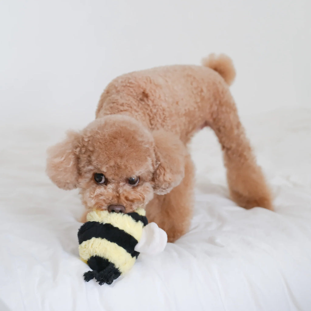 Lambwolf BEE POP with Bouncy and Snuffle Pet Toy at Garian Hong Kong