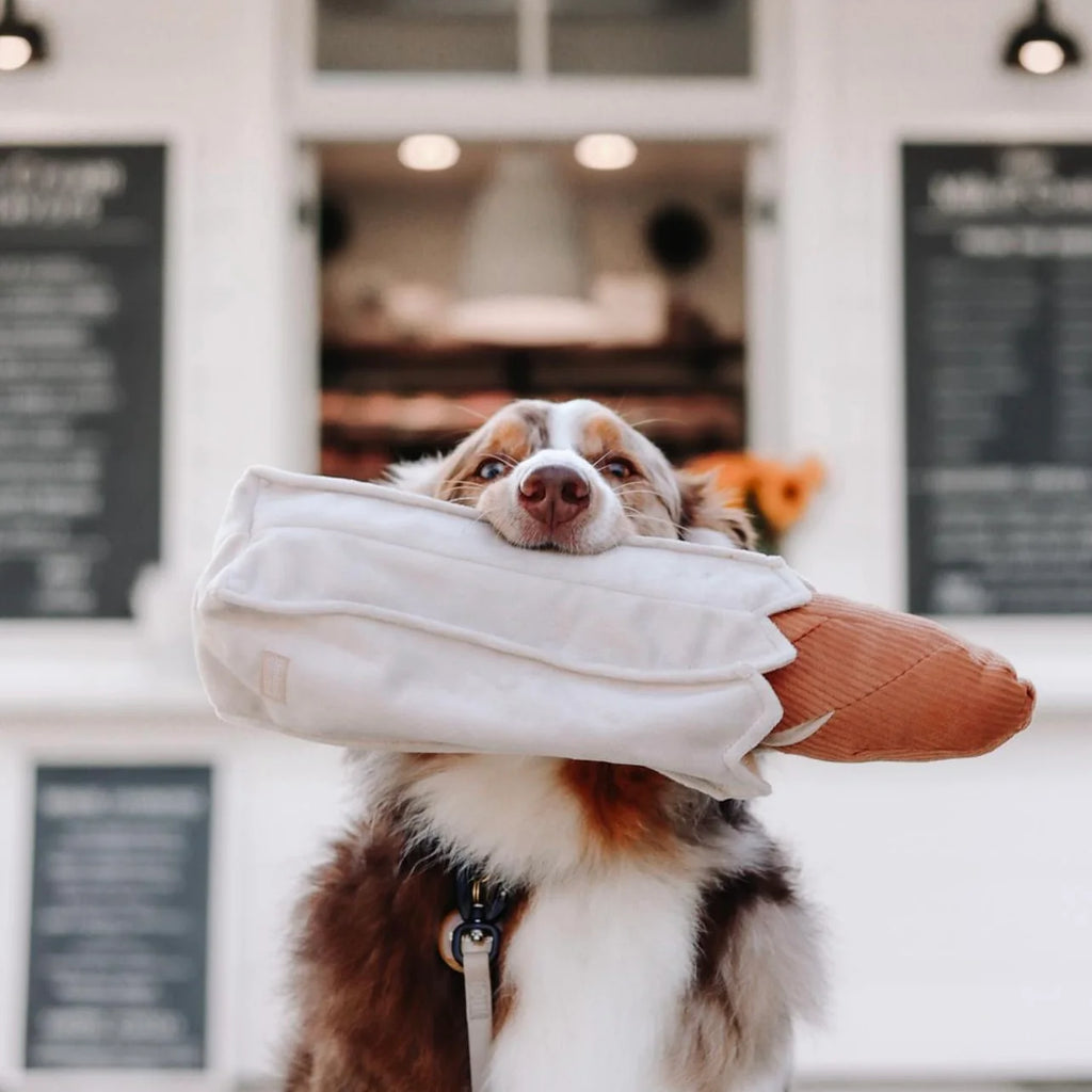 Lambwolf BAGUETTE with Enrichment Pockets and Squeaky Pet Toy at Garian Hong Kong