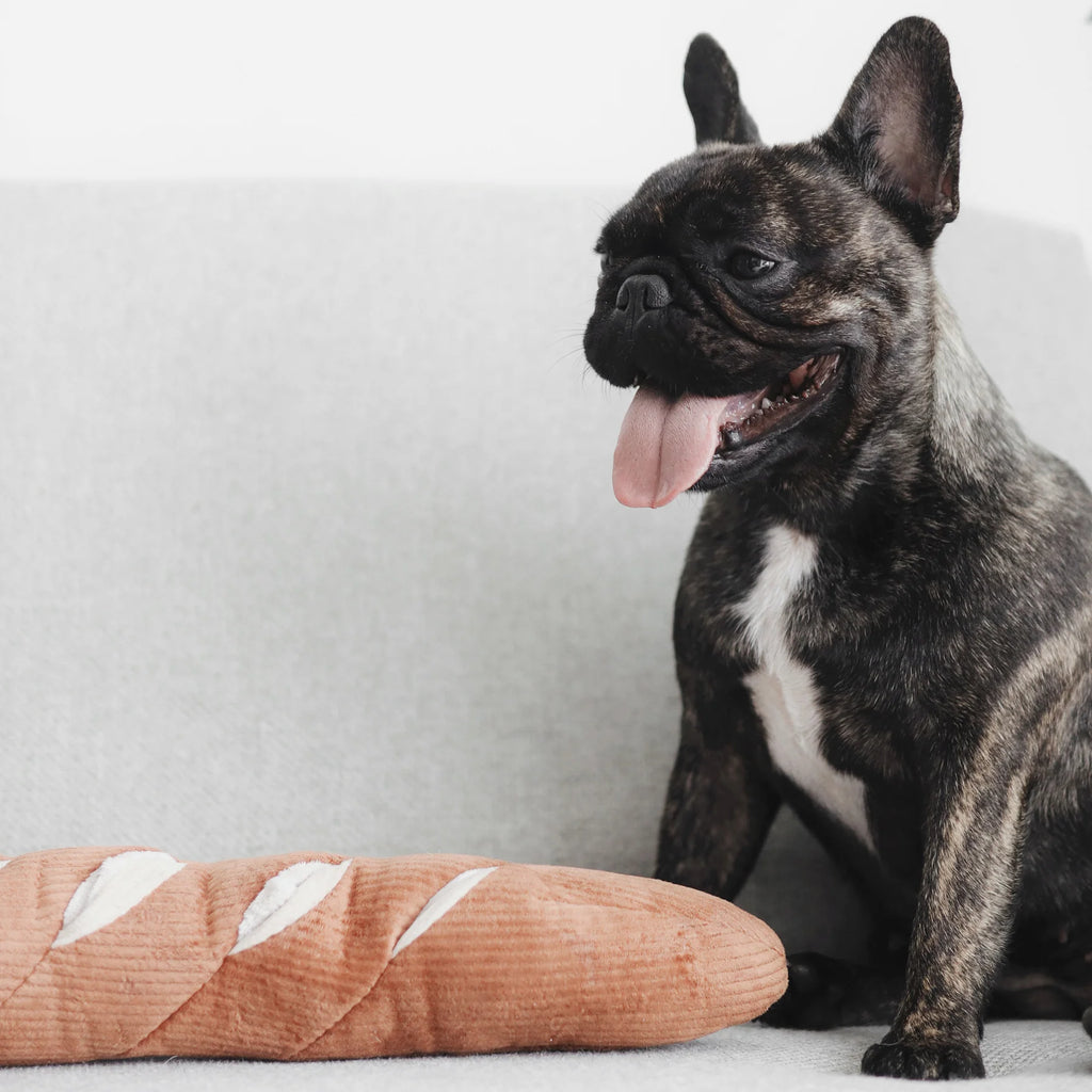 Lambwolf BAGUETTE with Enrichment Pockets and Squeaky Pet Toy at Garian Hong Kong