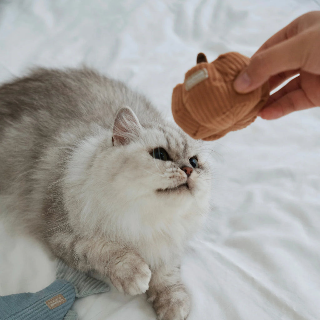 Lambwolf KITTY PUMPKIN with Tinkly Success Pet Toy at Garian Hong Kong