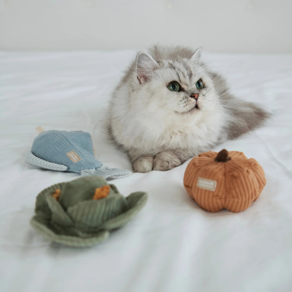 Lambwolf KITTY PUMPKIN with Tinkly Success Pet Toy at Garian Hong Kong