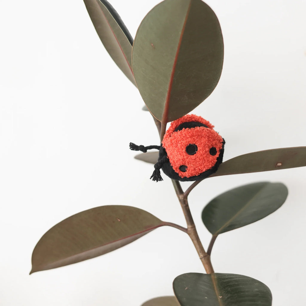 Lambwolf LADYBUG POP with Squeaky and Bouncy Pet Toy at Garian Hong Kong