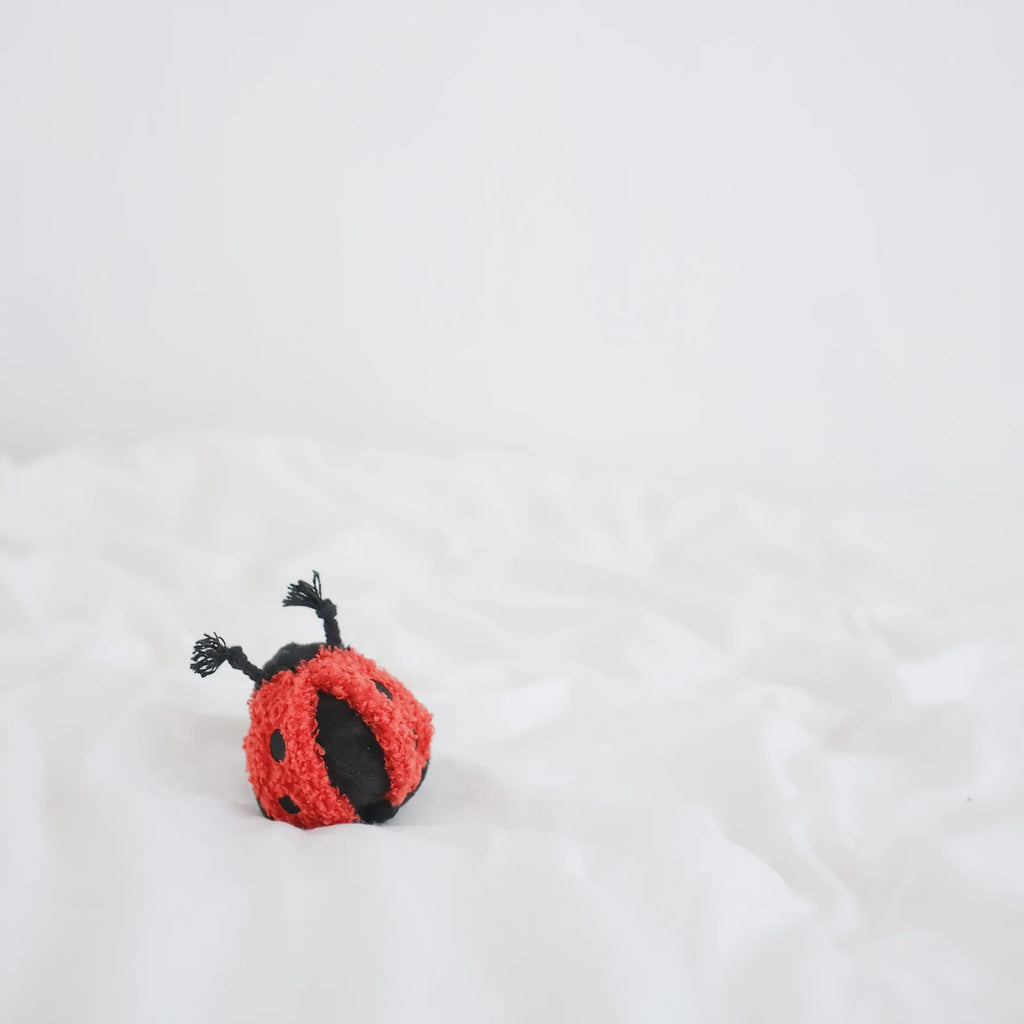 Lambwolf LADYBUG POP with Squeaky and Bouncy Pet Toy at Garian Hong Kong