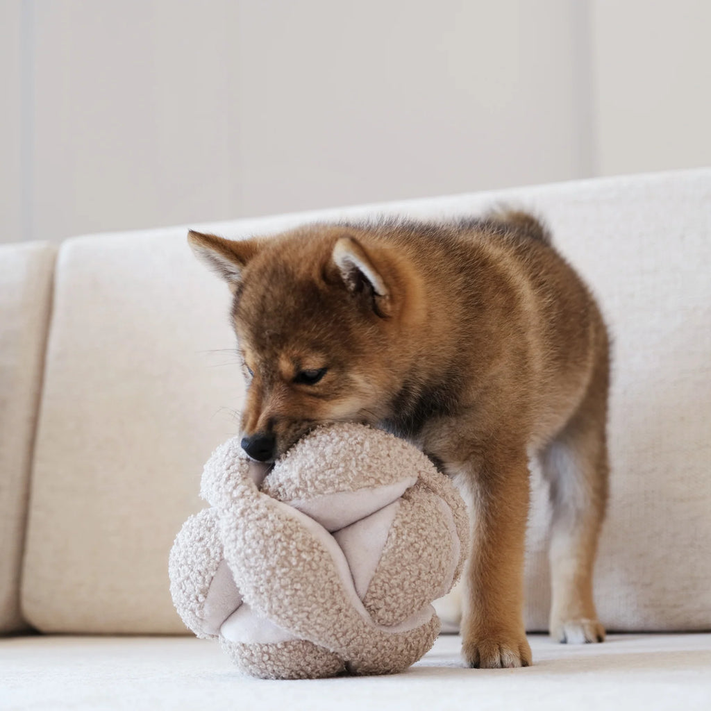 Lambwolf MONTI Crinkly and Squeaky Snuffle Ball Pet Toy at Garian Hong Kong