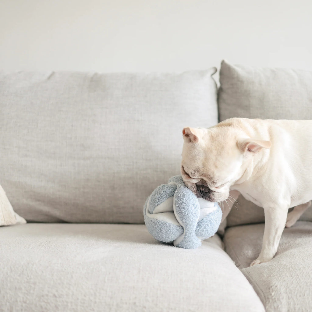 Lambwolf MONTI Crinkly and Squeaky Snuffle Ball Pet Toy at Garian Hong Kong