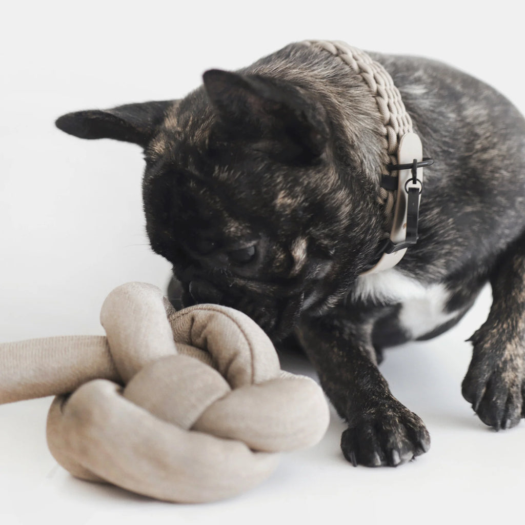 Lambwolf NOUNOU with Crinkly and Nylon Knit Fabric Pet Toy at Garian Hong Kong