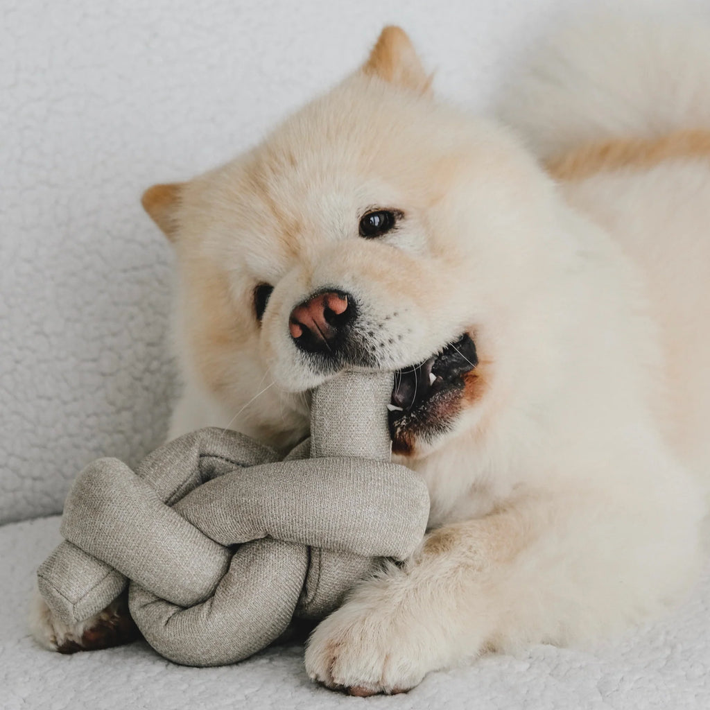 Lambwolf NOU with Crinkly and Nylon Knit Fabric Pet Toy at Garian Hong Kong