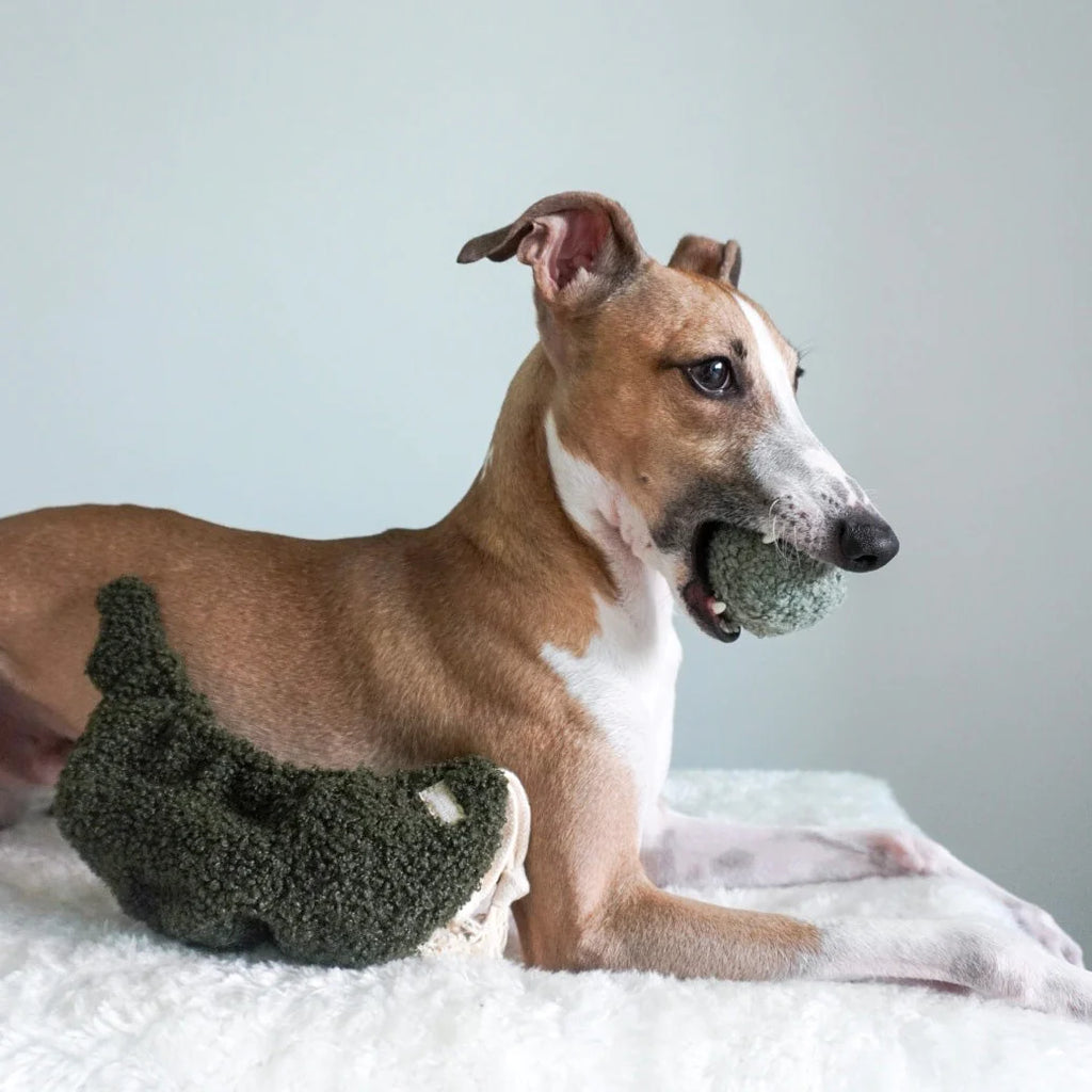 Lambwolf PEA POP with Bouncy and Burrow Pet Toy at Garian Hong Kong