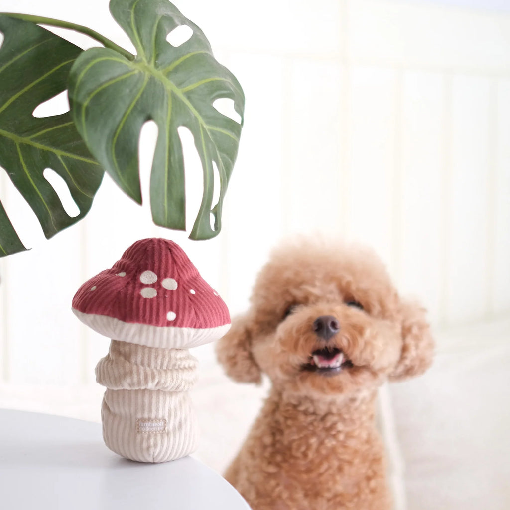 Lambwolf SHROOM Snuffle Mushroom Pet Toy at Garian Hong Kong