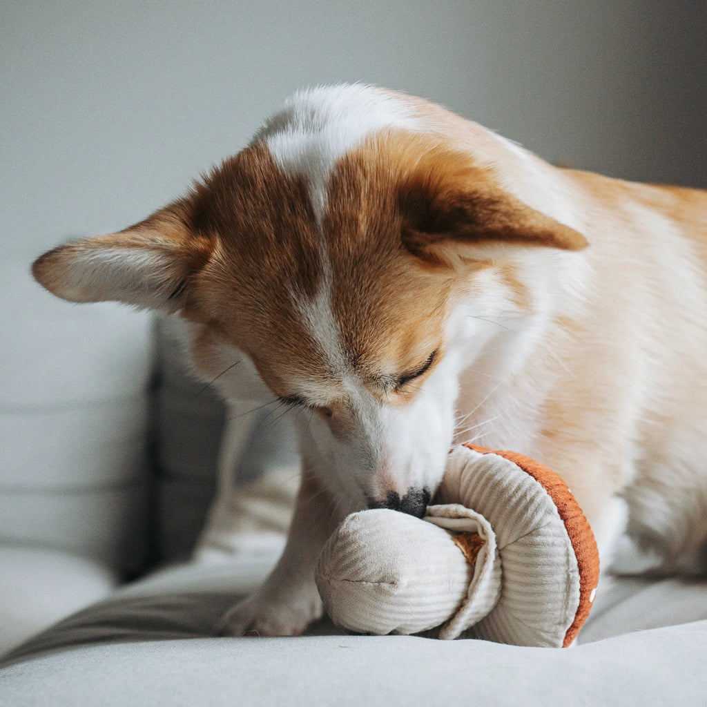 Lambwolf SHROOM Snuffle Mushroom Pet Toy at Garian Hong Kong