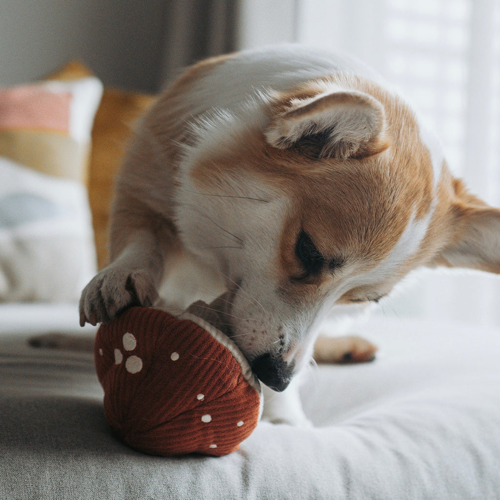 Lambwolf SHROOM Snuffle Mushroom Pet Toy at Garian Hong Kong