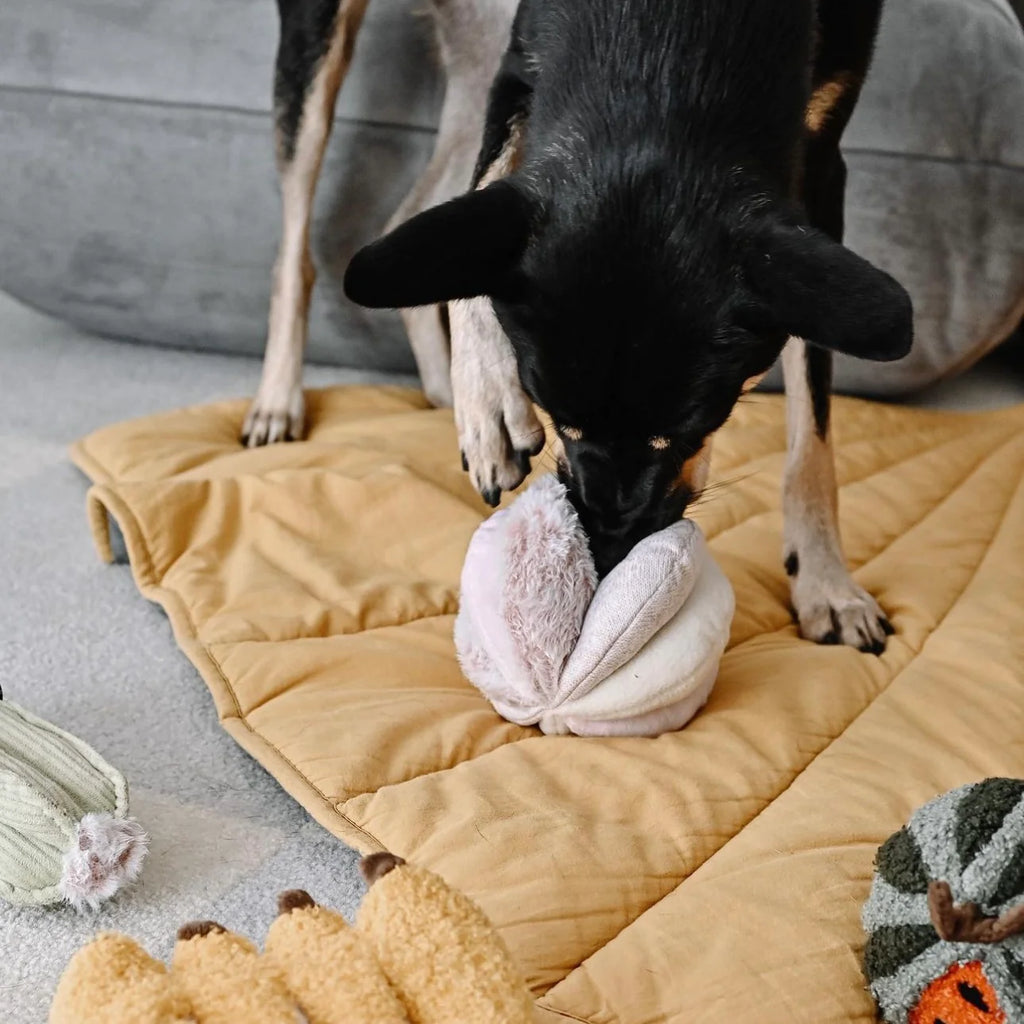 Lambwolf TOTO Squeaky Snuffle Ball Pet Toy at Garian Hong Kong