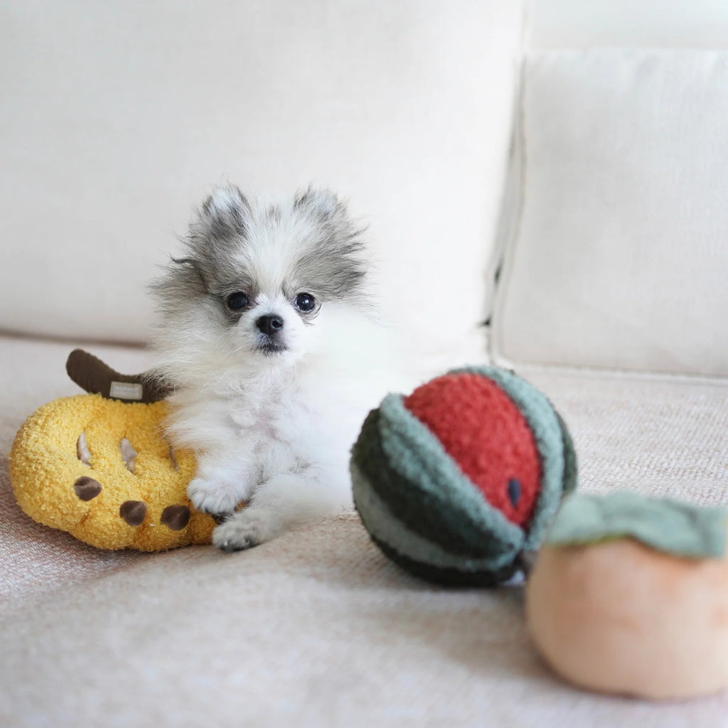 Lambwolf WATERMELON POP with Squeaky, Bouncy and Snuffle Pet Toy at Garian Hong Kong