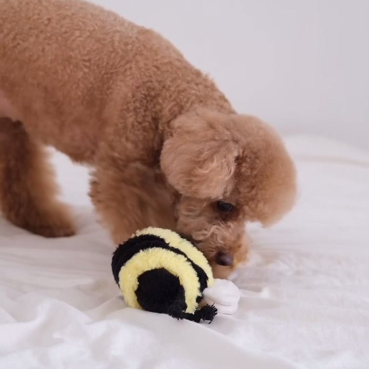 Lambwolf BEE POP with Bouncy and Snuffle Pet Toy at Garian Hong Kong